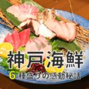 神戸のうまい海鮮料理店にて、この時期だからできた同期の送別会！